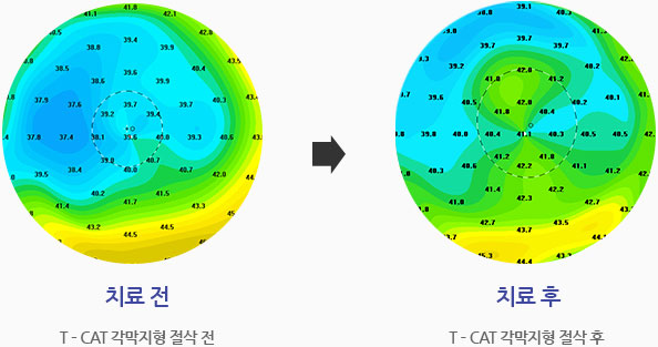 관련내용 이미지