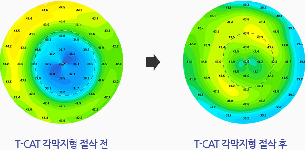 관련내용 이미지