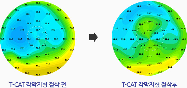 관련내용 이미지