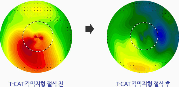 관련내용 이미지